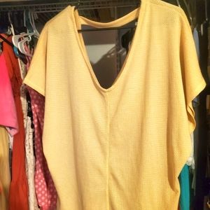NWT CY KNIT TOP large